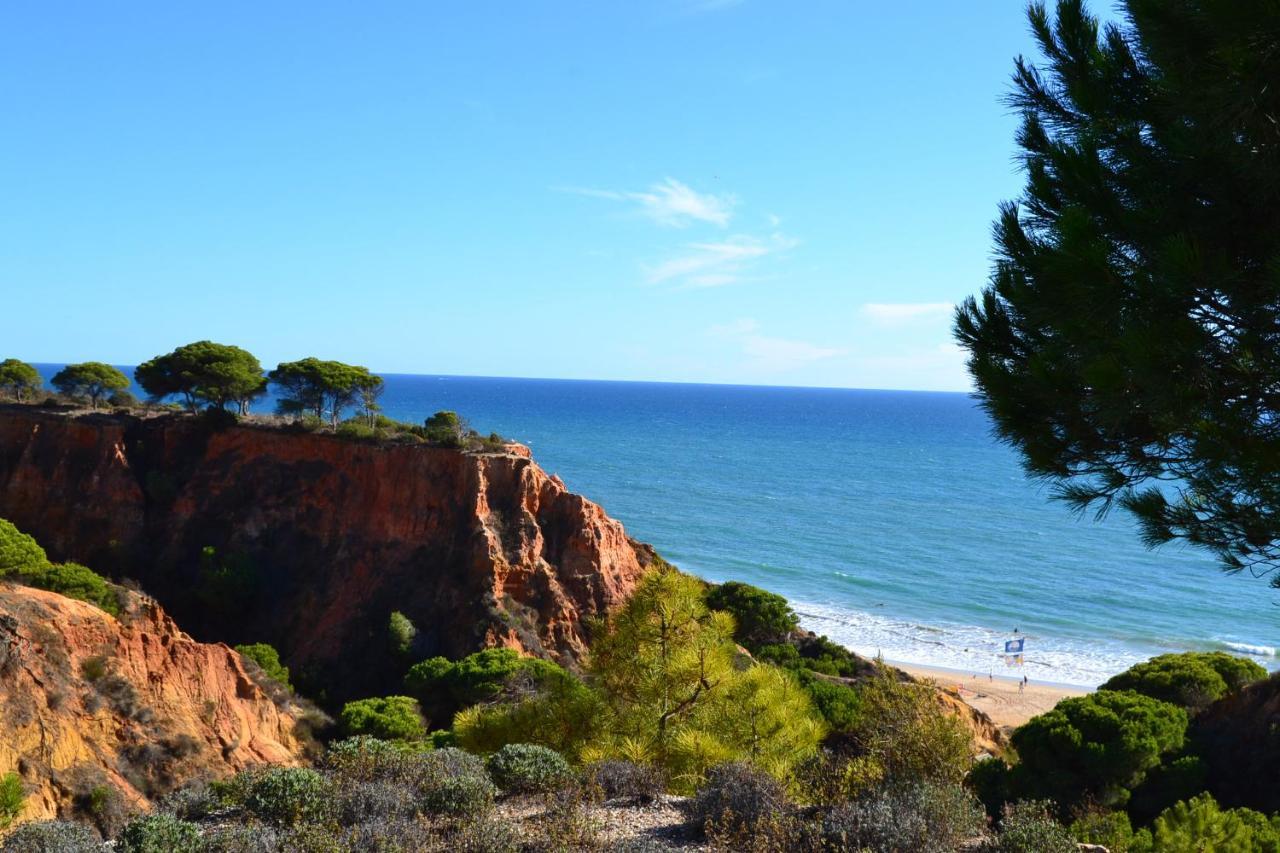 T0 Junto A De Vale Centeanes / Carvoeiro Apartamento Lagoa (Algarve)